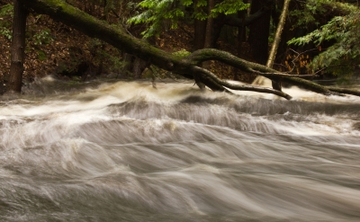  "Rushing River" by Maggie Smith